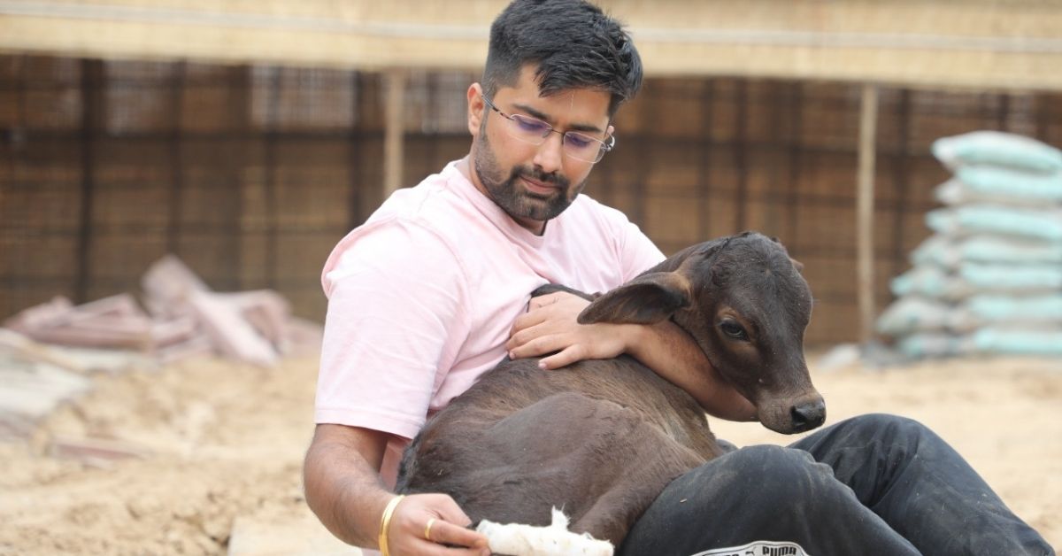 Kuldeep Khatri with the stray animals at the shelter