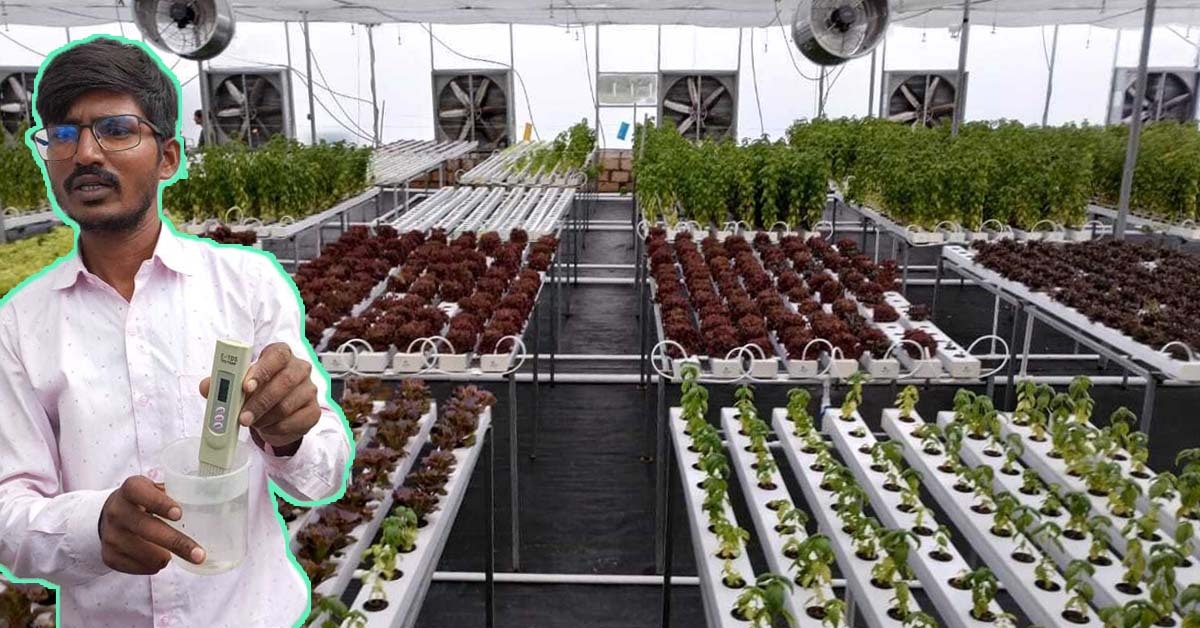 Rasik Nakum from Rajkot is on a mission to train thousands of Indians in growing their own vegetables using hydroponics.