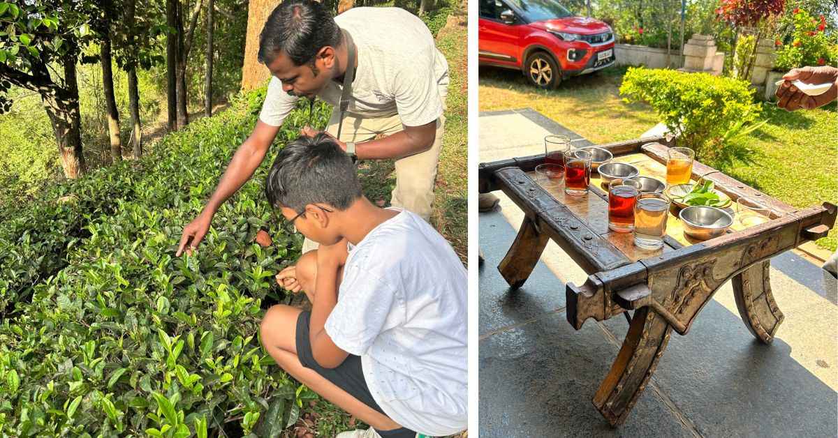 The tea tasting sessions are a hit at the homestay and guests can also pluck their own tea leaves