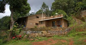 Organic Tea Tasting & Waterfall Picnics: Eco-Stay in Coonoor Is a Nature Lover's Dream Destination