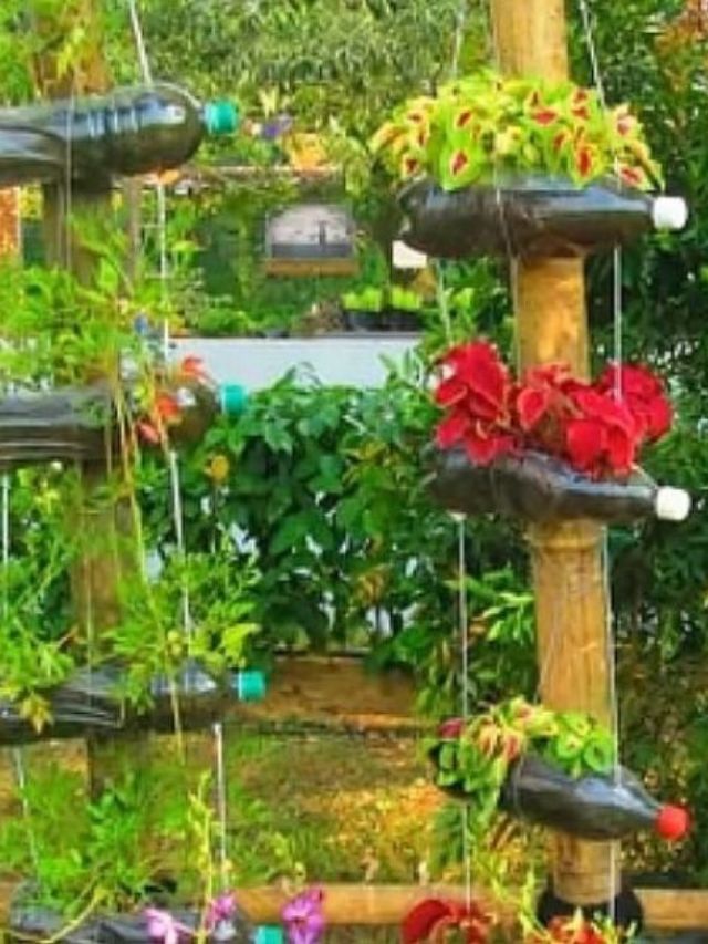 4 Ways To Create a Vertical Garden Using Old Plastic Bottles At Home