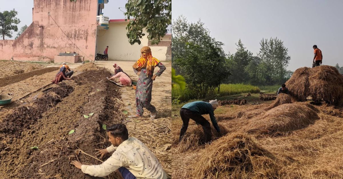 Vermicompost being prepared at Fertile Beeghas