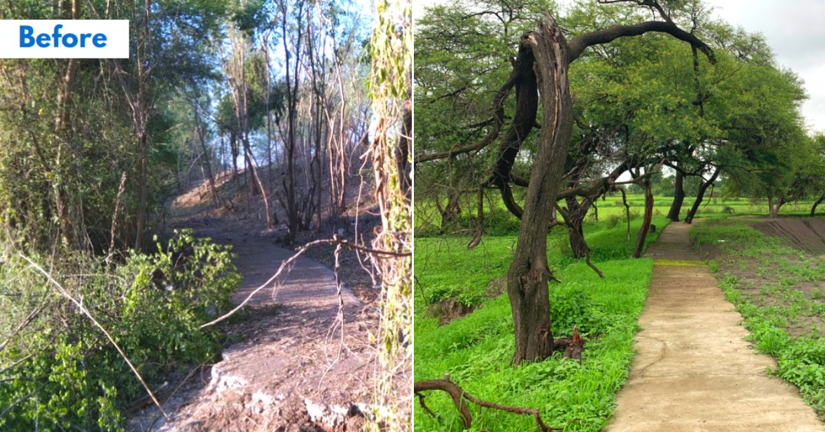 IAS restores historical Pond with volunteers