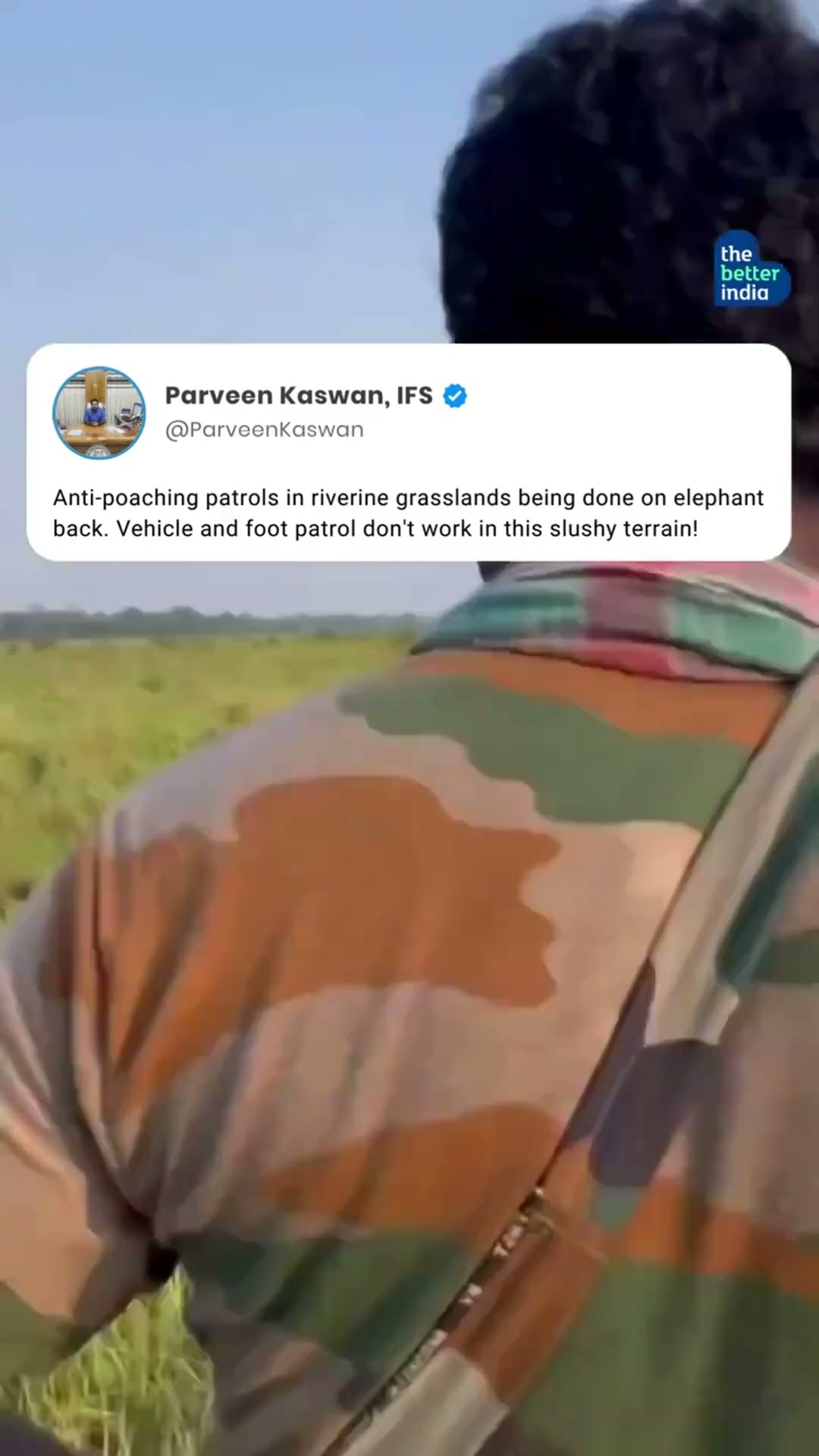 Forget jeeps and boots! This anti-poaching team is relying on a unique patrol force...#Shorts #viral image