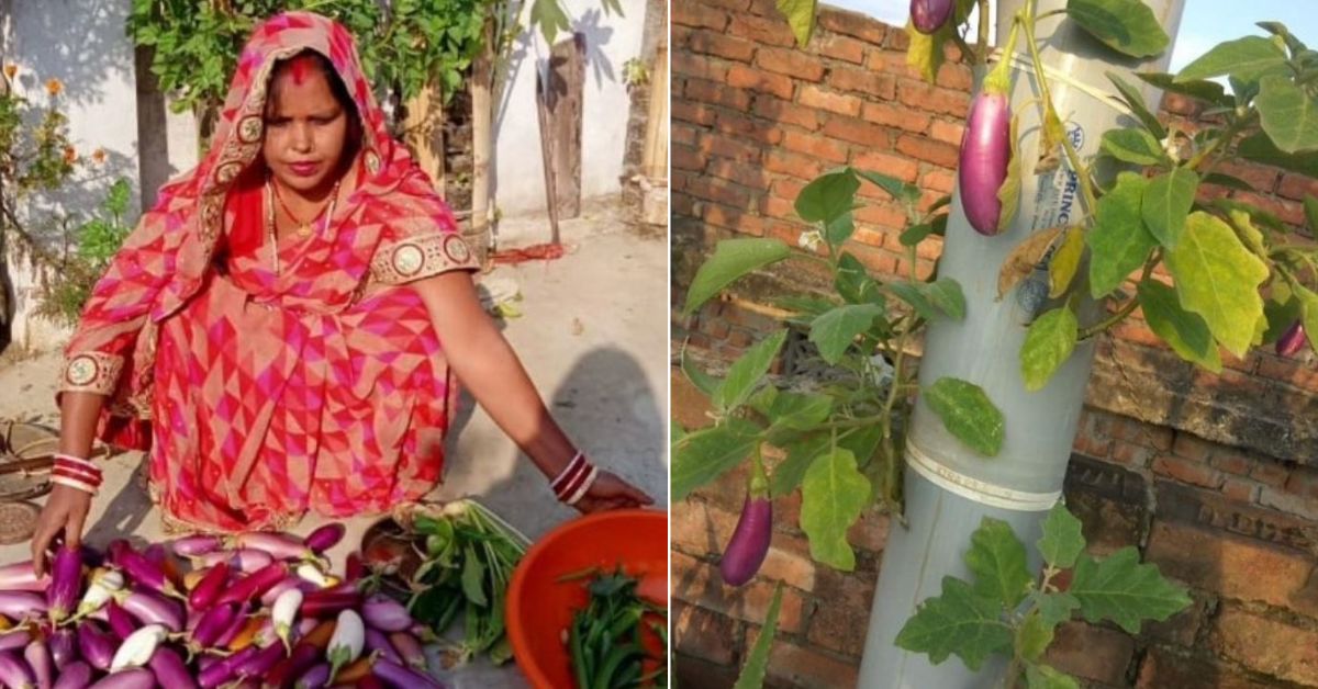 Sunita harvests at least 5 kg of vegetables every week.