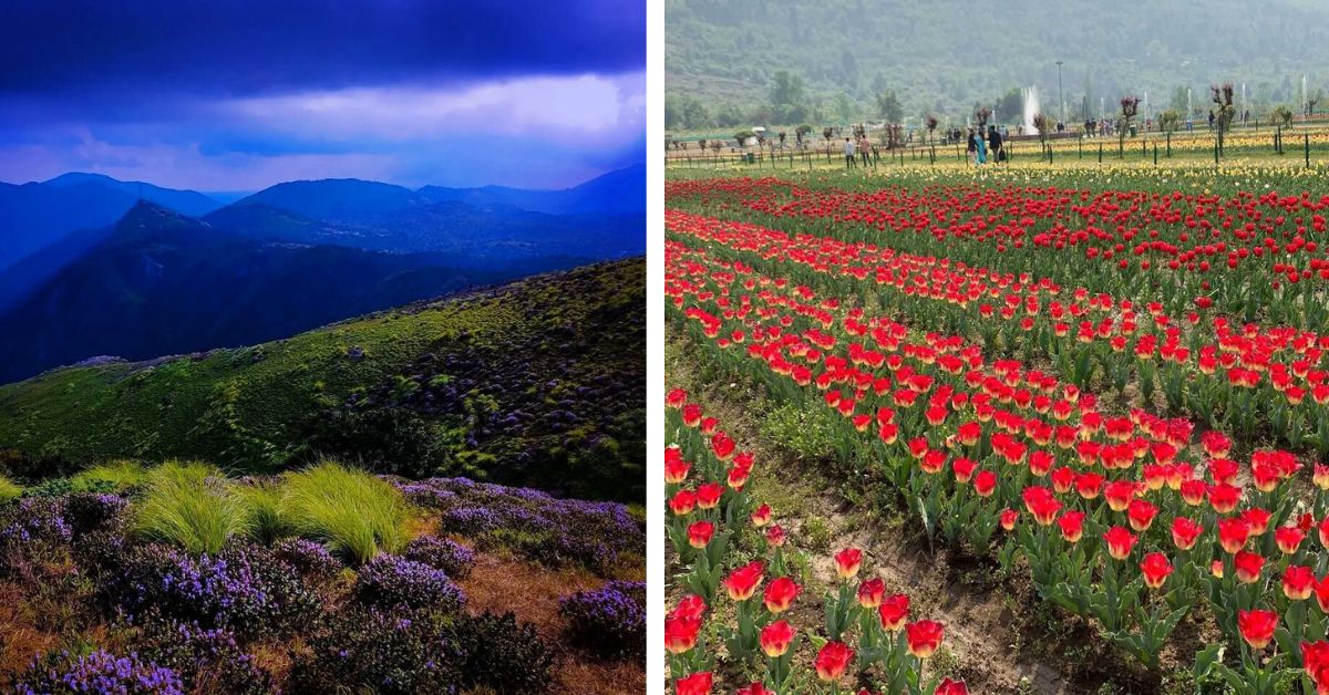 summer flower festivals in india