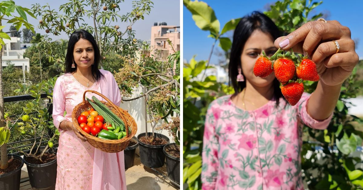 Sushma Reddy grows 70 fruits on her terrace