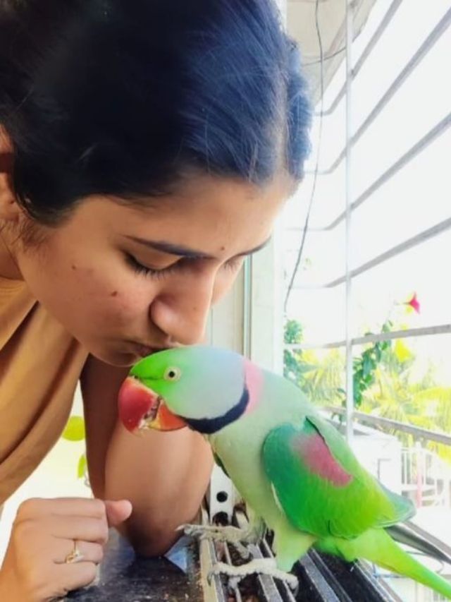 ‘Parrots, Bulbuls & Mynas Are My Guests’: Why Over 50 Birds Visit This Woman’s Garden Daily