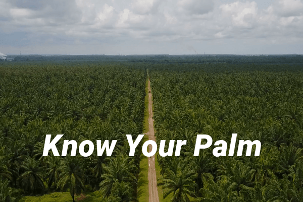 KnowYourPalm 2.0